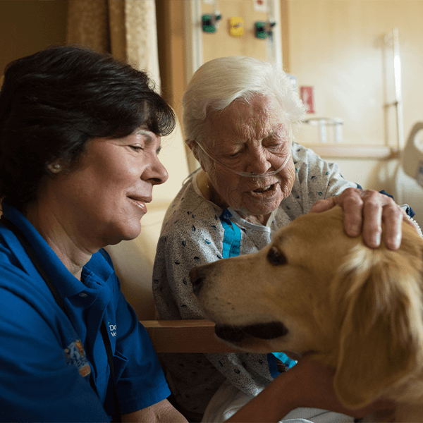 Animal Assisted Activity image