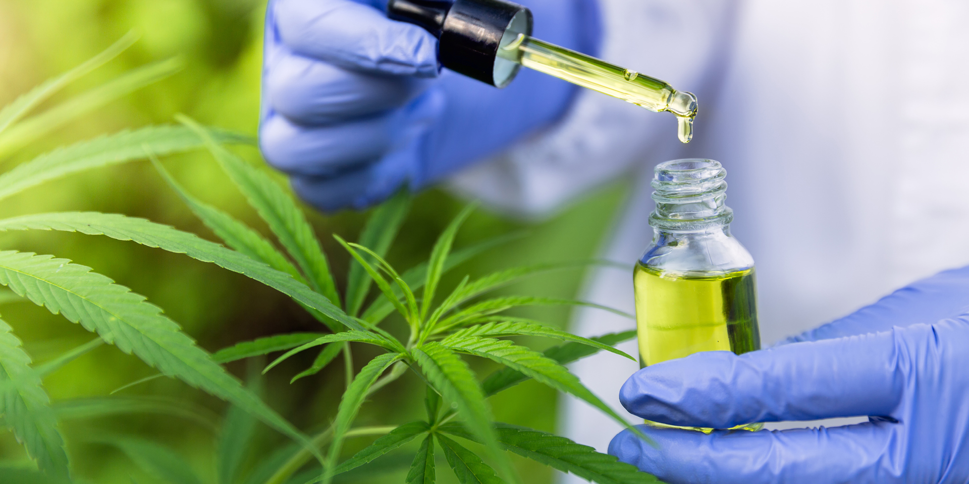 dropping CBD oil into bottle