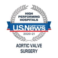 Us News High Performing Indicator Aortic Valve | Doylestown Health